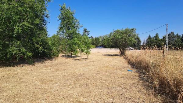 Terreno en calle Teruel, 20