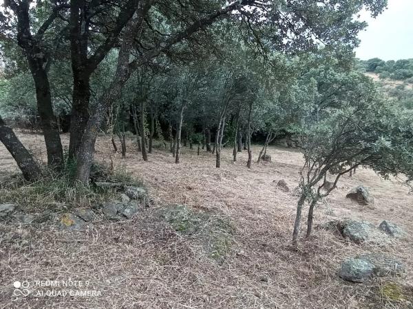 Terreno en calle Puerto del Nevero, 7