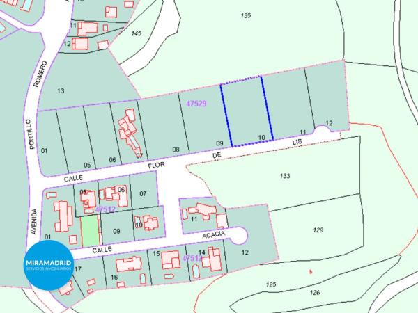 Terreno en calle Flor de Lis