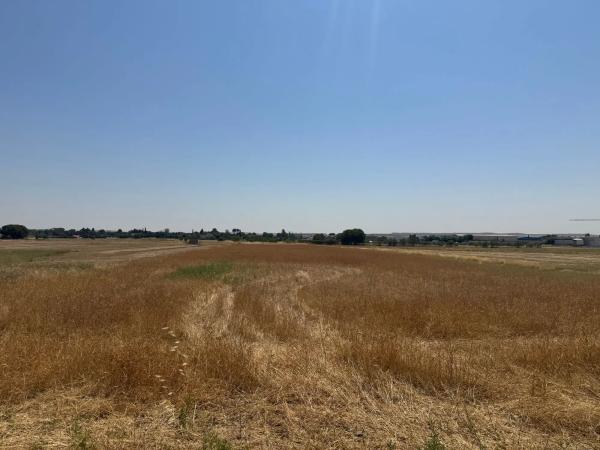 Terreno en Fuente el Saz de Jarama