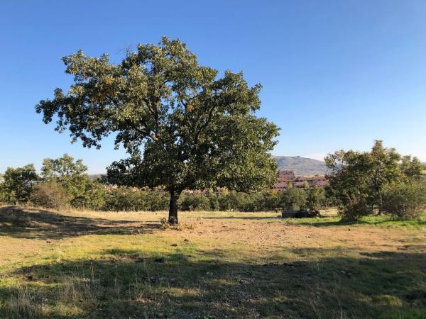 Terreno en Manzanares el Real