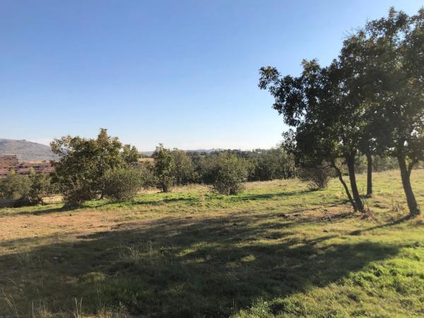 Terreno en Manzanares el Real