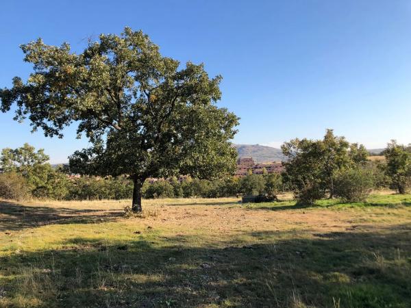 Terreno en Manzanares el Real