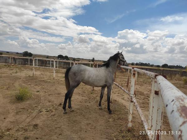 Terreno en calle del Soto, 1