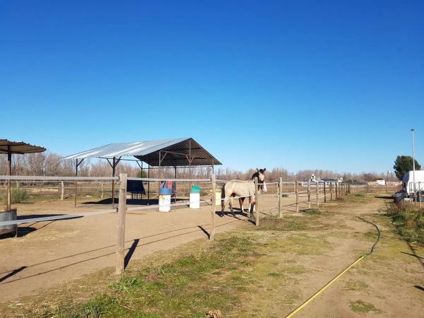 Terreno en calle del Soto, 1