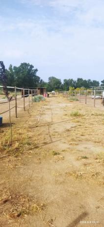 Terreno en calle del Soto, 1