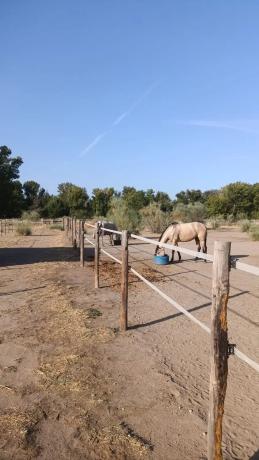 Terreno en calle del Soto, 1