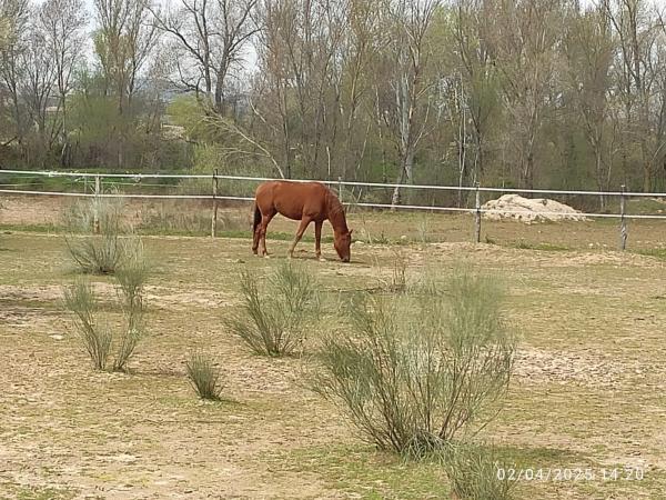 Terreno en calle del Soto, 1