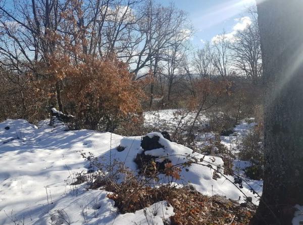 Terreno en calle Paloma