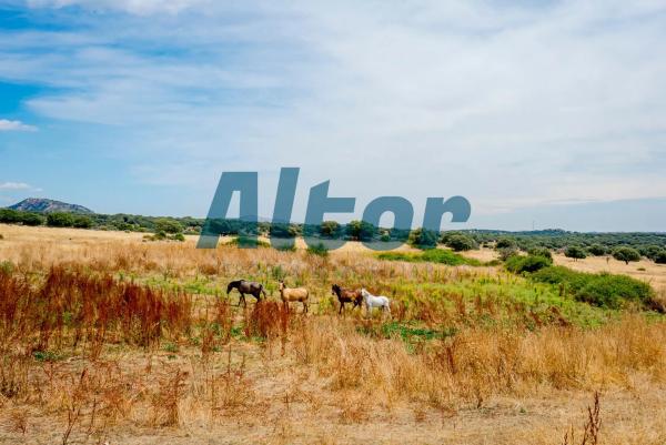 Terreno en Pablo Santos