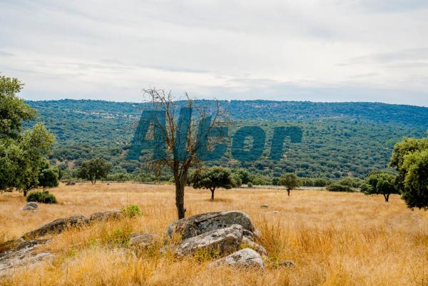 Terreno en Pablo Santos