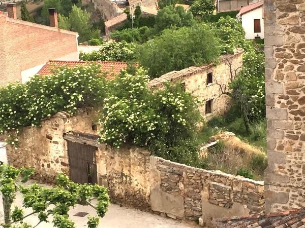 Terreno en plaza de los Caídos