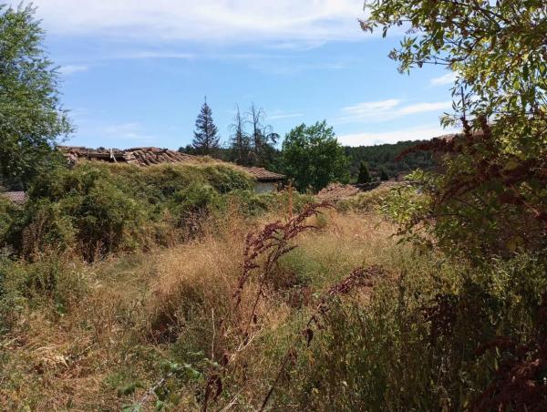 Terreno en plaza de los Caídos