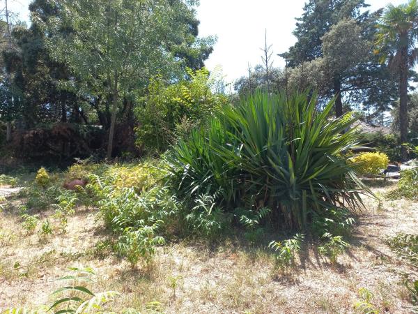 Terreno en avenida Somosierra