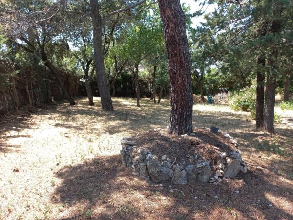 Terreno en avenida Somosierra