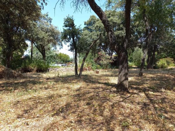 Terreno en avenida Somosierra