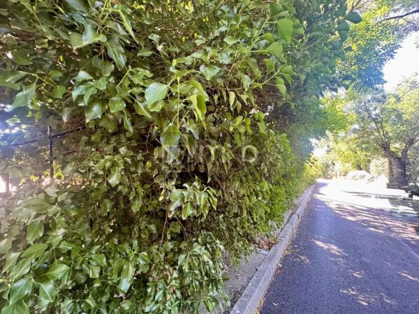 Terreno en calle del Rosal