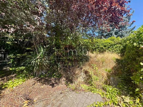 Terreno en calle del Rosal