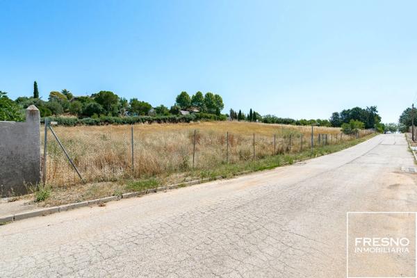 Terreno en calle del Faisán, 12