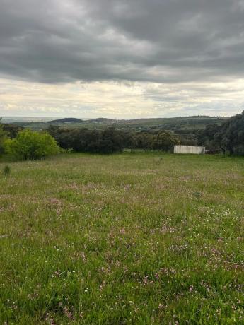 Terreno en calle Molar, 1