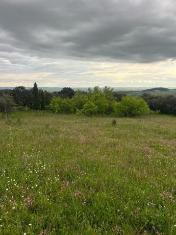 Terreno en calle Molar, 1