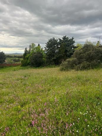 Terreno en calle Molar, 1