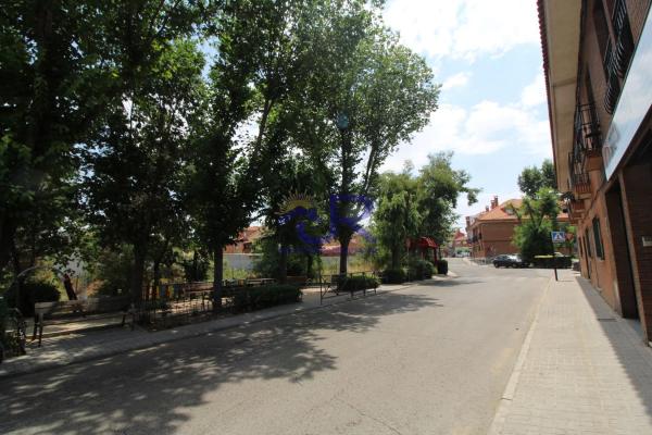 Terreno en Casco Urbano