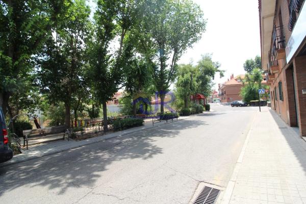 Terreno en Casco Urbano