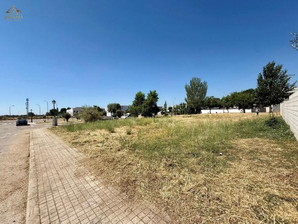 Terreno en calle el Enebro