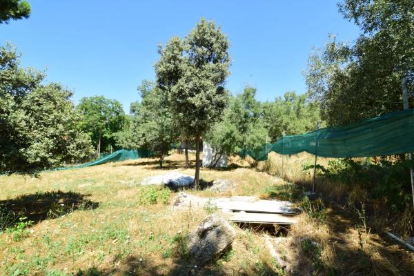 Terreno en calle Uva