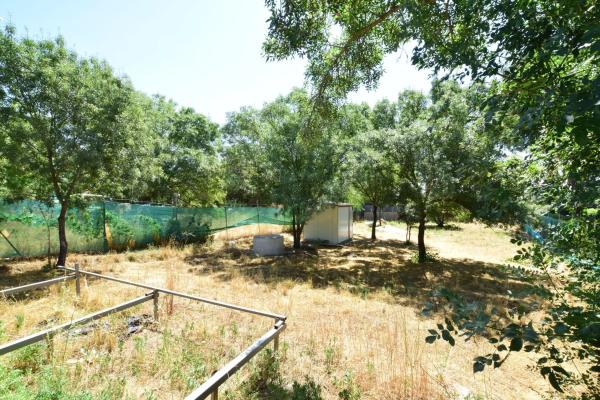 Terreno en calle Uva