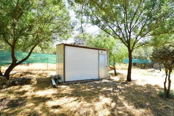 Terreno en calle Uva