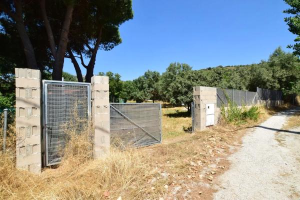 Terreno en calle Uva