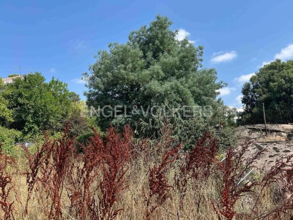 Terreno en Manzanares el Real