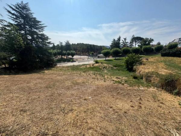 Terreno en calle del Doctor Bernardo Barrios, 9 -1