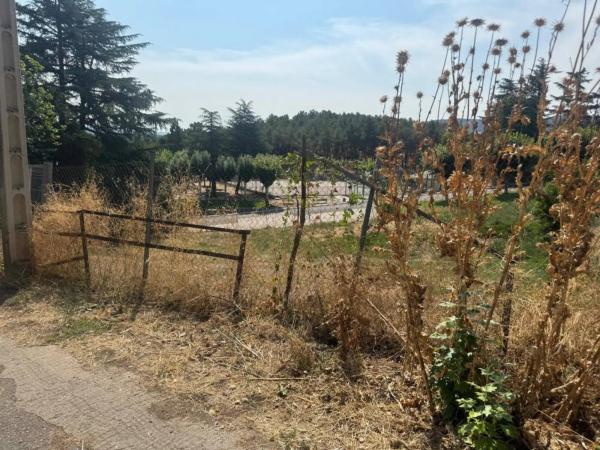 Terreno en calle del Doctor Bernardo Barrios, 9 -1