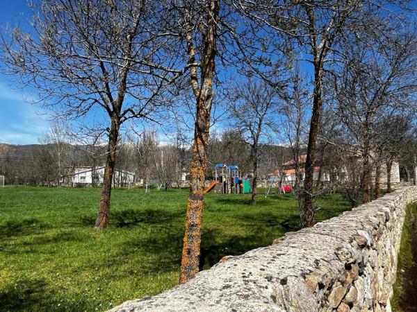 Terreno en calle Nueva, 9