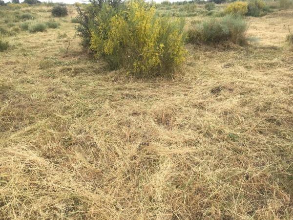 Terreno en Urbanizacion el Frontal, 26 Parcela