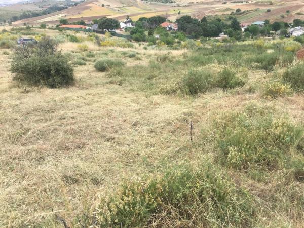 Terreno en Urbanizacion el Frontal, 26 Parcela
