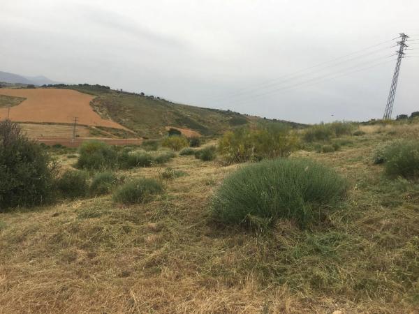 Terreno en Urbanizacion el Frontal, 26 Parcela