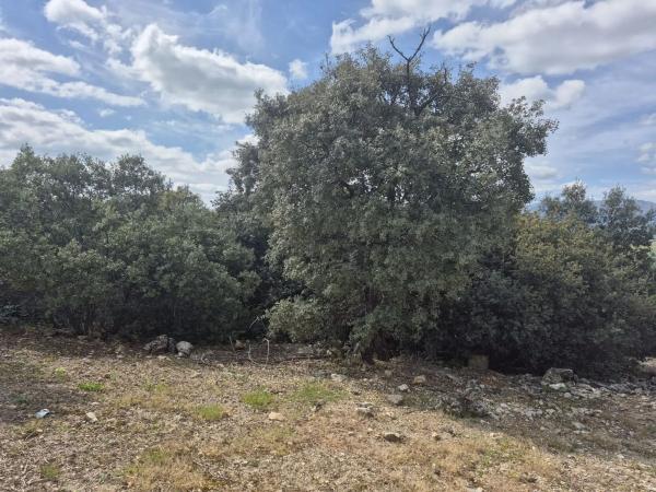 Terreno en Cotos de Monterrey