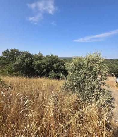Terreno en calle del Caz s/n