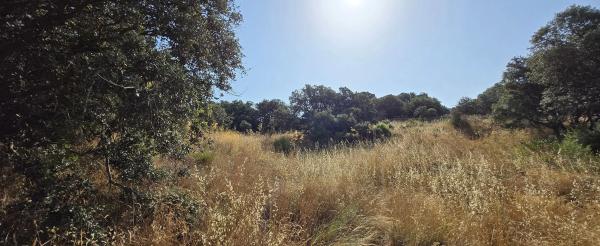 Terreno en calle del Caz s/n