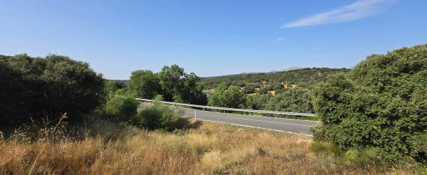 Terreno en calle del Caz s/n