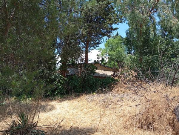 Terreno en calle del Tomillar, 10