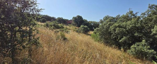 Terreno en calle del Caz s/n