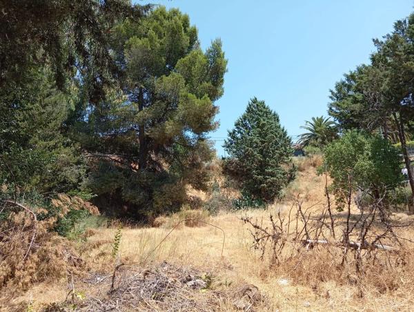 Terreno en calle del Tomillar, 10