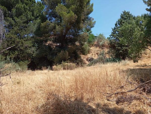 Terreno en calle del Tomillar, 10