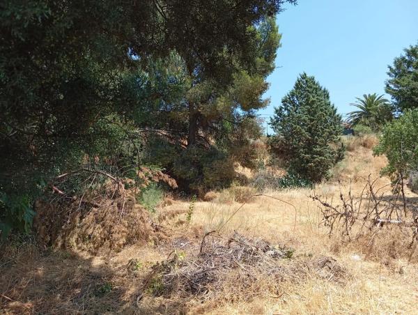 Terreno en calle del Tomillar, 10