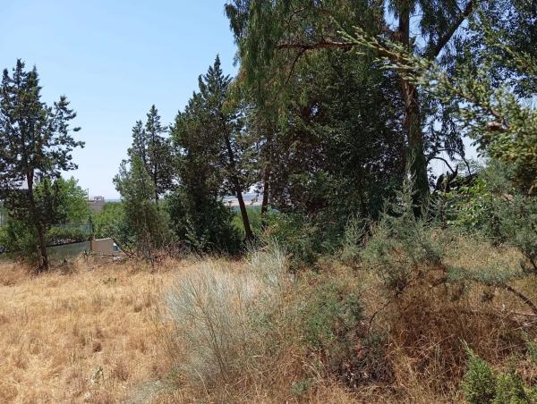 Terreno en calle del Tomillar, 10